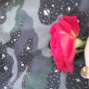 Meet your Posher, Xavier